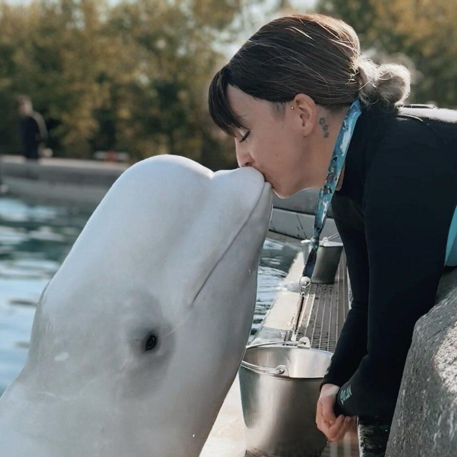 'We need to get them out': Beluga trainer fired by Marineland speaks out